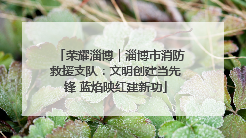 荣耀淄博｜淄博市消防救援支队：文明创建当先锋 蓝焰映红建新功