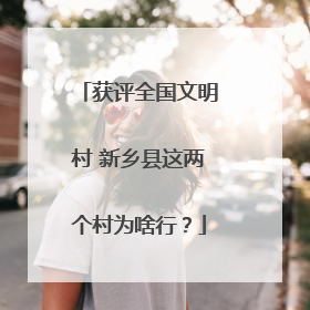 获评全国文明村 新乡县这两个村为啥行？
