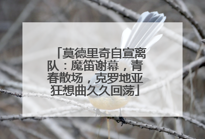 莫德里奇自宣离队：魔笛谢幕，青春散场，克罗地亚狂想曲久久回荡