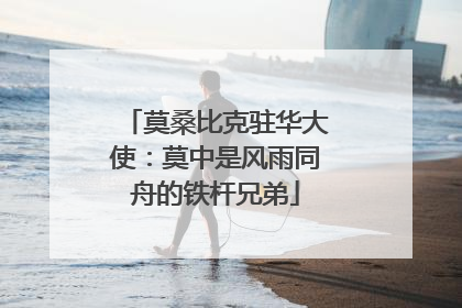 莫桑比克驻华大使：莫中是风雨同舟的铁杆兄弟