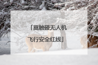 莫触碰无人机飞行安全红线