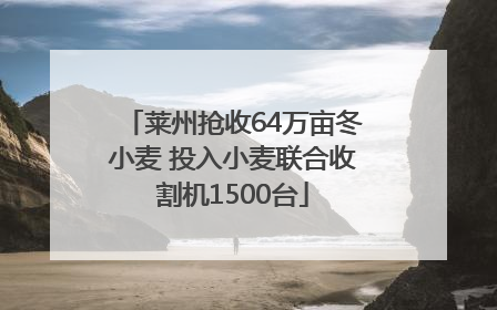 莱州抢收64万亩冬小麦 投入小麦联合收割机1500台