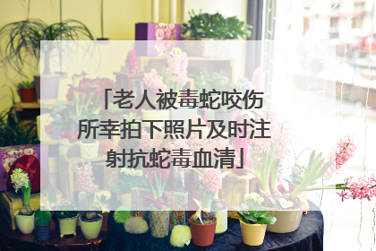 老人被毒蛇咬伤 所幸拍下照片及时注射抗蛇毒血清