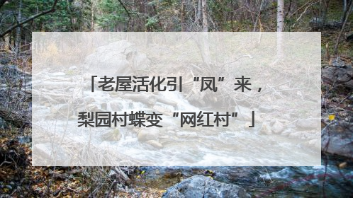 老屋活化引“凤”来，梨园村蝶变“网红村”