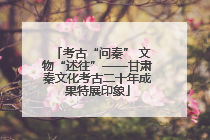考古“问秦” 文物“述往”——甘肃秦文化考古二十年成果特展印象