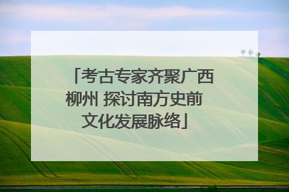 考古专家齐聚广西柳州 探讨南方史前文化发展脉络