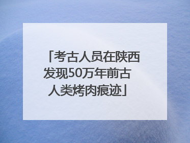 考古人员在陕西发现50万年前古人类烤肉痕迹