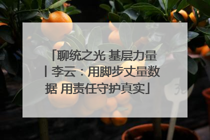 聊统之光 基层力量丨李云：用脚步丈量数据 用责任守护真实