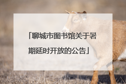 聊城市图书馆关于暑期延时开放的公告