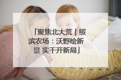 聚焦北大荒｜绥滨农场：沃野绘新景 实干开新局