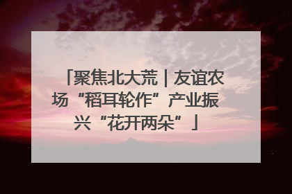 聚焦北大荒｜友谊农场“稻耳轮作”产业振兴“花开两朵”