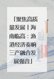 聚焦高质量发展丨海南临高：渔港经济奏响三产融合发展强音