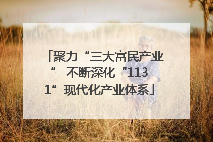 聚力“三大富民产业” 不断深化“1131”现代化产业体系