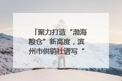 聚力打造“渤海粮仓”新高度，滨州市供销社谱写“三夏”丰收乐章