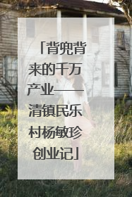 背兜背来的千万产业——清镇民乐村杨敏珍创业记