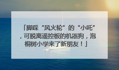 脚踩“风火轮”的“小吒”，可脱离遥控板的机器狗，泡桐树小学来了新朋友！