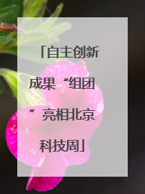 自主创新成果“组团”亮相北京科技周