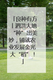 良种有方丨泗洪大地“种”出美妙，铺就农业发展金光大“稻”！