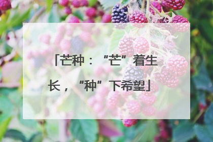 芒种：“芒”着生长，“种”下希望