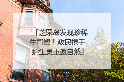 芝罘岛发现珍稀牛背鹭！政民携手护生灵重返自然