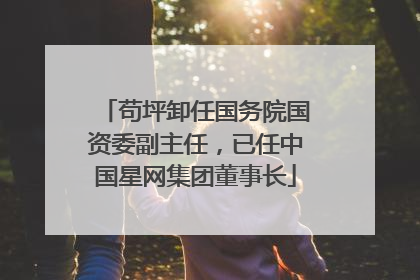 苟坪卸任国务院国资委副主任，已任中国星网集团董事长