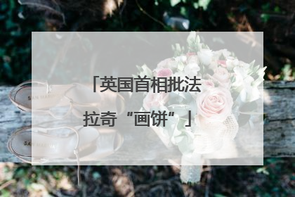 英国首相批法拉奇“画饼”