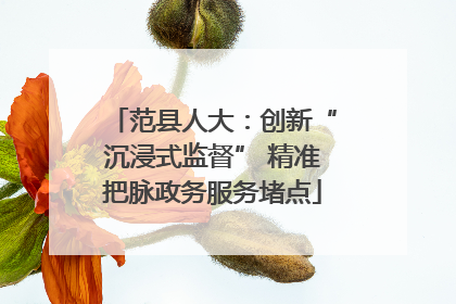 范县人大：创新“沉浸式监督” 精准把脉政务服务堵点