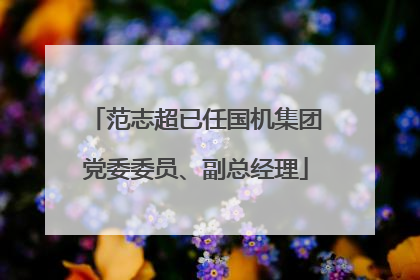 范志超已任国机集团党委委员、副总经理
