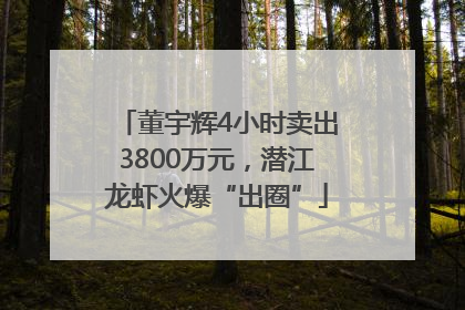 董宇辉4小时卖出3800万元，潜江龙虾火爆“出圈”