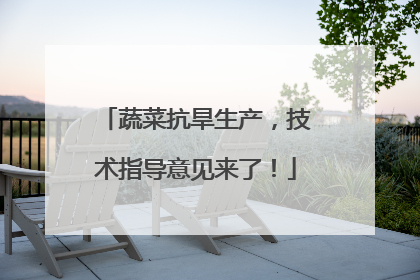 蔬菜抗旱生产，技术指导意见来了！