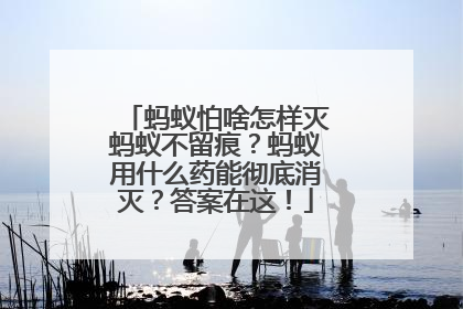 蚂蚁怕啥怎样灭蚂蚁不留痕？蚂蚁用什么药能彻底消灭？答案在这！