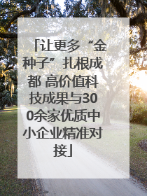 让更多“金种子”扎根成都 高价值科技成果与300余家优质中小企业精准对接