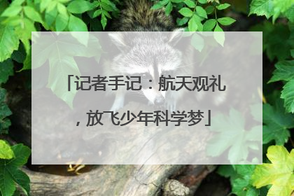 记者手记：航天观礼，放飞少年科学梦