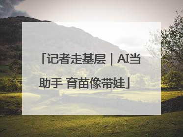记者走基层｜AI当助手 育苗像带娃