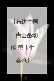行进中国｜青山蓄动能 黑土生金仓