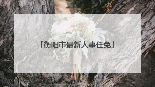 衡阳市最新人事任免
