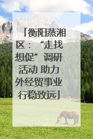 衡阳蒸湘区：“走找想促”调研活动 助力外经贸事业行稳致远