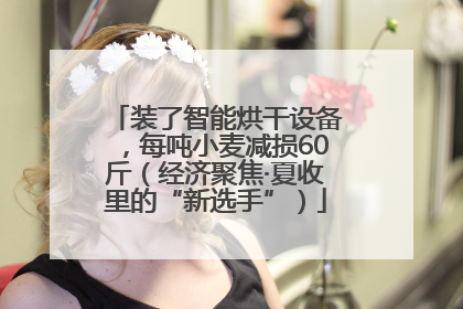 装了智能烘干设备，每吨小麦减损60斤（经济聚焦·夏收里的“新选手”）