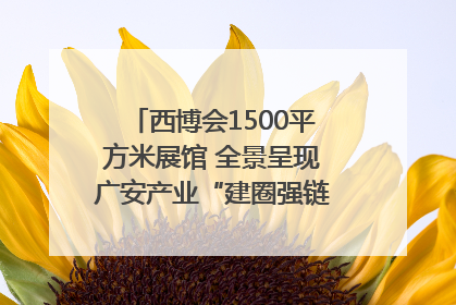 西博会1500平方米展馆 全景呈现广安产业“建圈强链”｜西博视界