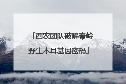 西农团队破解秦岭野生木耳基因密码