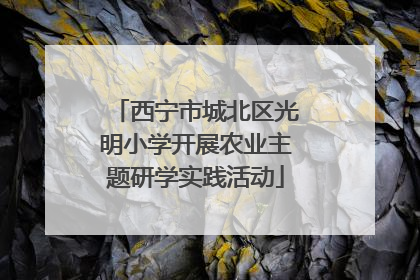 西宁市城北区光明小学开展农业主题研学实践活动