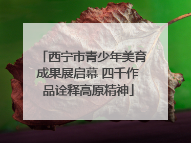 西宁市青少年美育成果展启幕 四千作品诠释高原精神