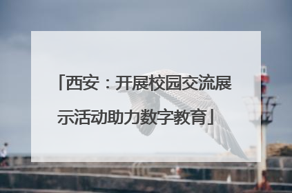 西安：开展校园交流展示活动助力数字教育