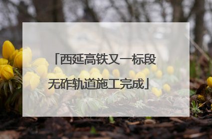 西延高铁又一标段无砟轨道施工完成