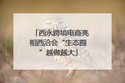 西永跨境电商亮相西洽会“生态圈”越做越大