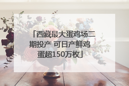 西藏最大蛋鸡场二期投产 可日产鲜鸡蛋超150万枚