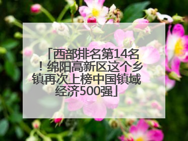 西部排名第14名！绵阳高新区这个乡镇再次上榜中国镇域经济500强
