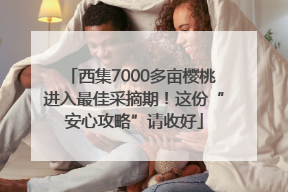 西集7000多亩樱桃进入最佳采摘期！这份“安心攻略”请收好