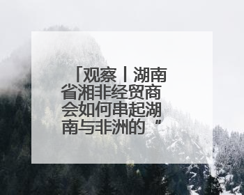 观察丨湖南省湘非经贸商会如何串起湖南与非洲的“万里商路”