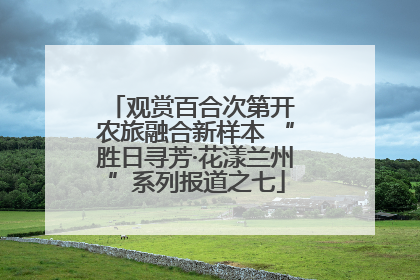 观赏百合次第开 农旅融合新样本 “胜日寻芳·花漾兰州”系列报道之七